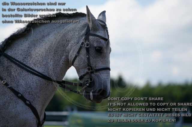 s_K3F04940.JPG